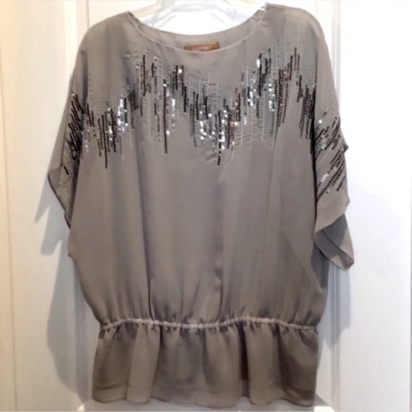 Beautiful XL Gray Ellen Tracy Sequined Blouse(NWOT) - Picture 1 of 5